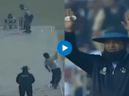 Cricket Viral Video