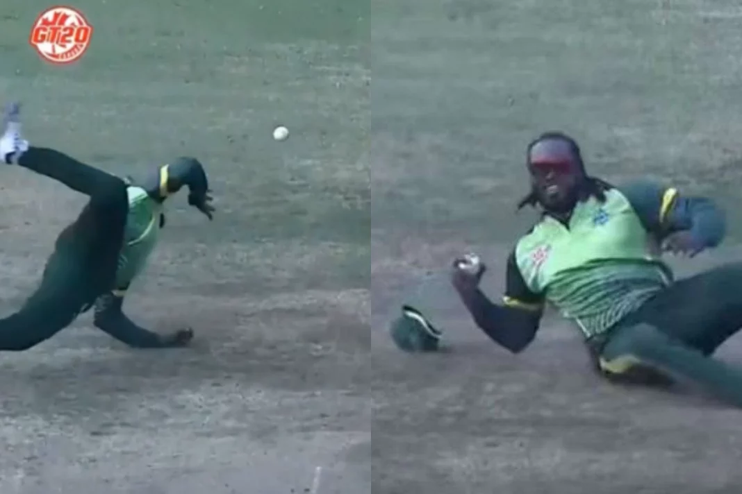 Cricket Viral Video