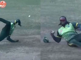 Cricket Viral Video