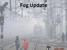 Fog Update
