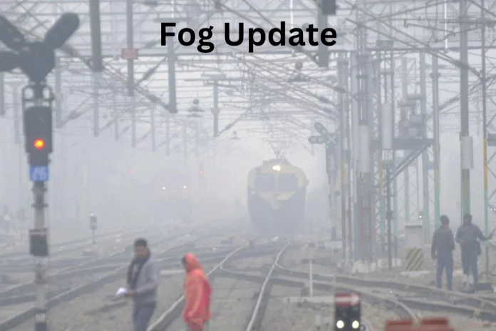 Fog Update