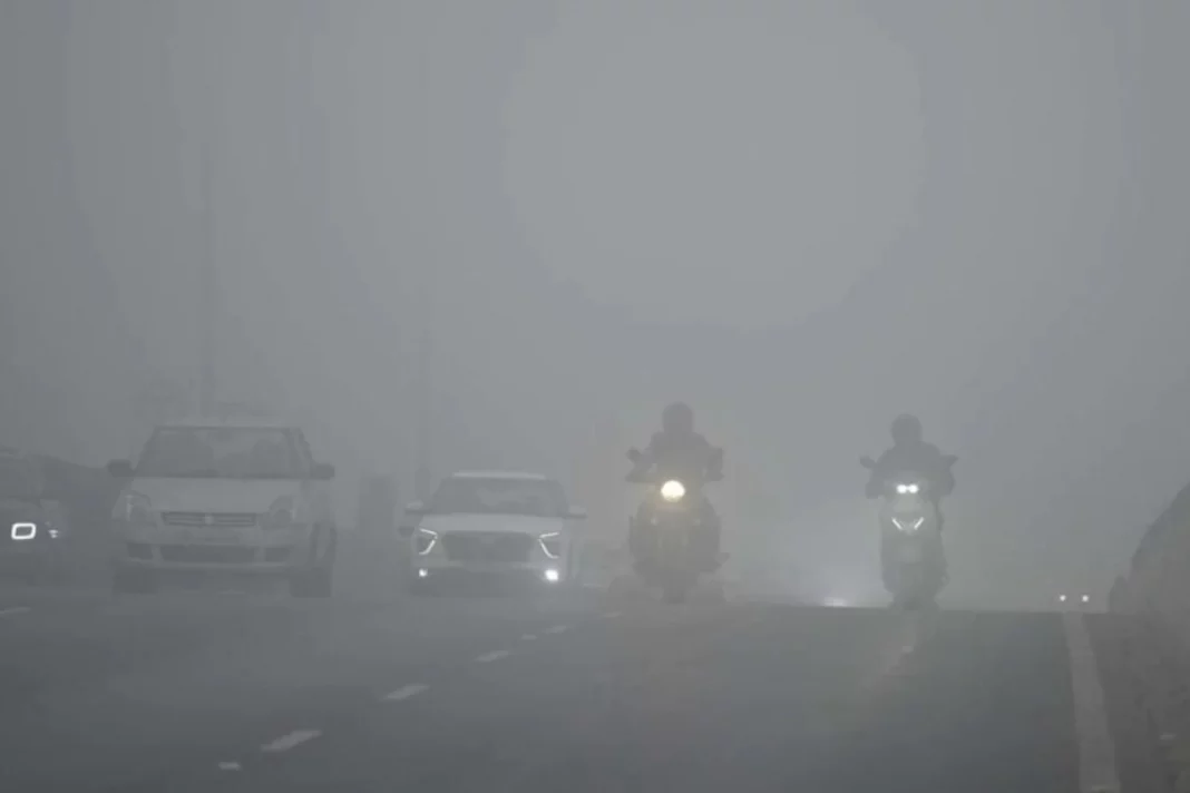 Fog Update
