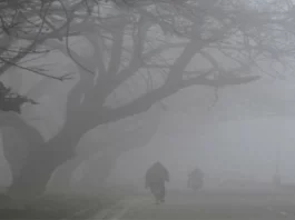 Fog Update