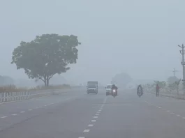 Fog Update
