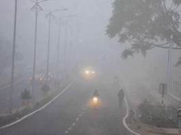 Fog Update