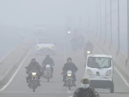 Fog Update