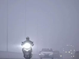 Fog Update