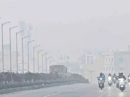 Fog Update
