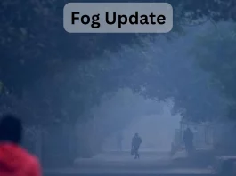 Fog Update