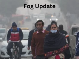 Fog Update