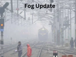 Fog Update