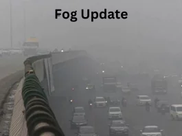 Fog Update