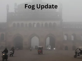 Fog Update