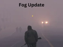 Fog Update