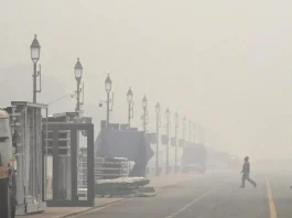 Fog Update