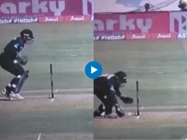IND vs NZ