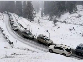 Snowfall Update