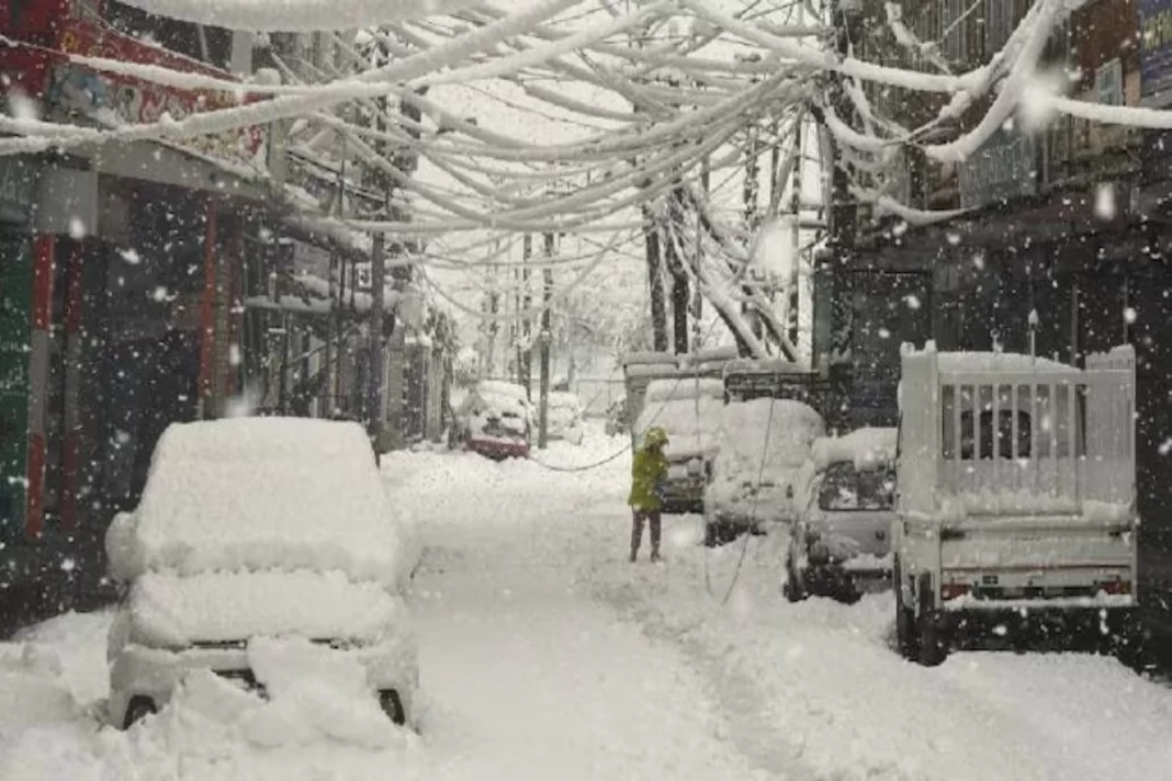Snowfall Update