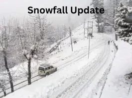 Snowfall Update