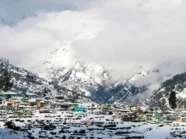 Snowfall Update