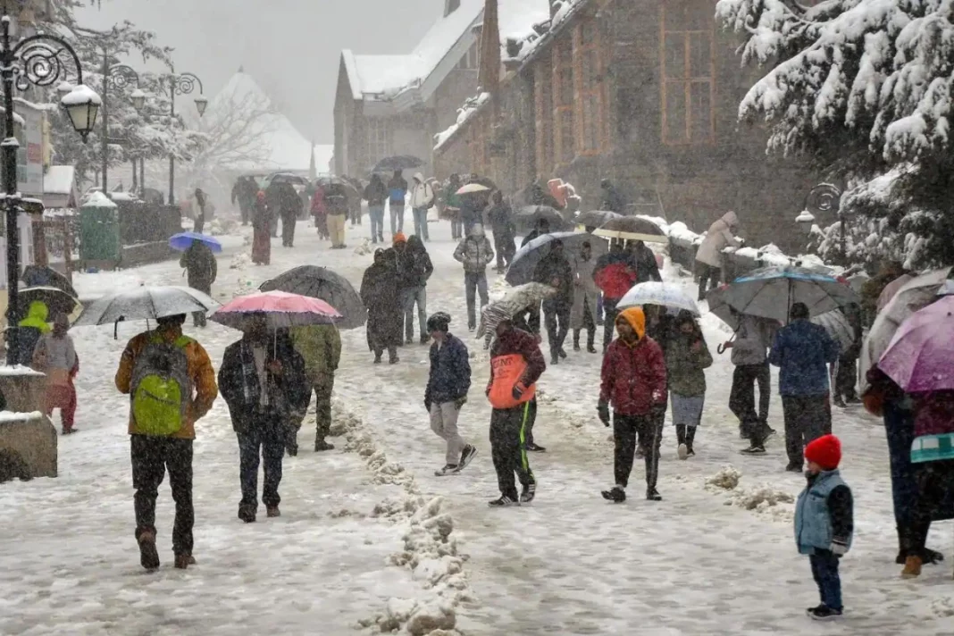 Snowfall Update