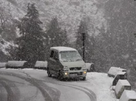 Snowfall Update