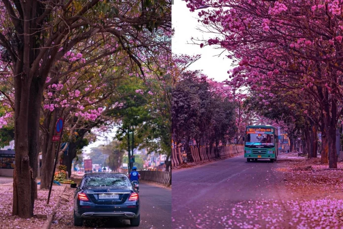 Viral Photo (3) Viral Photo