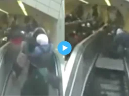 Viral Video