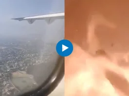 Viral Video