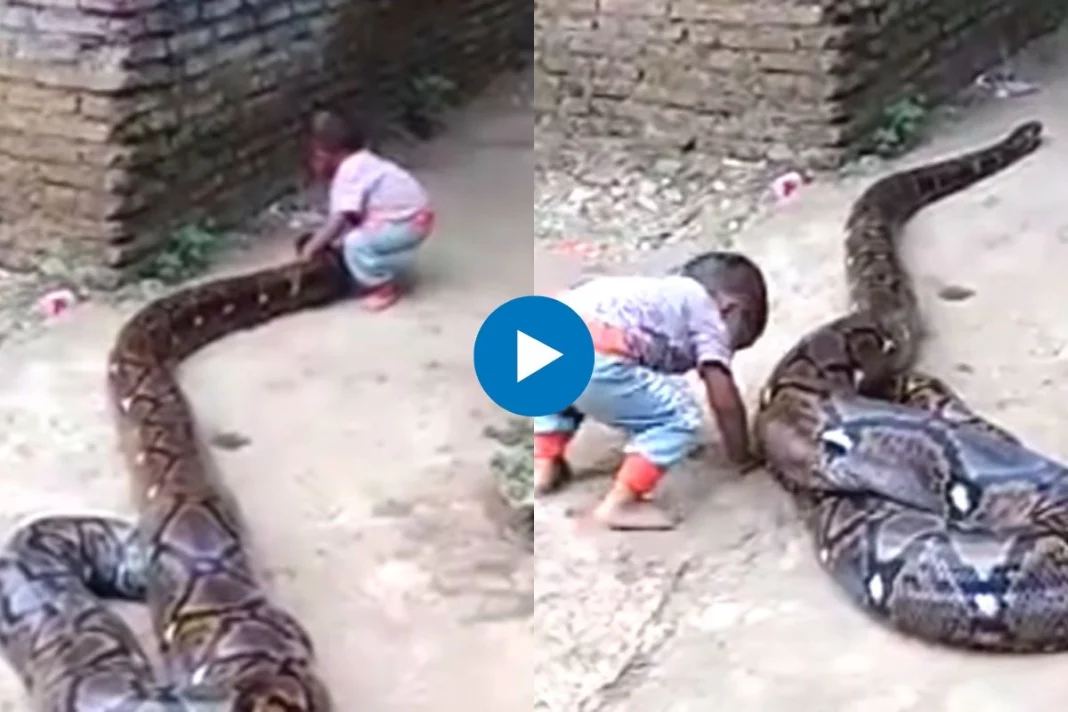 Viral Video