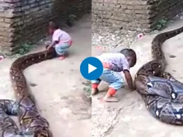 Viral Video