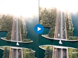 Viral Video