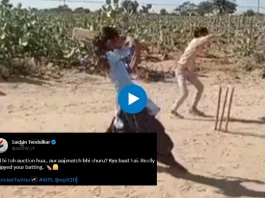 Cricket viral video