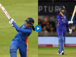 Cricket Viral Video