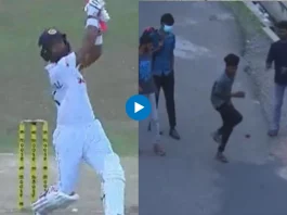 Cricket Viral Video