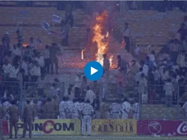 Cricket Viral Video