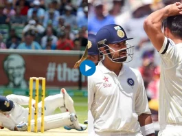 Cricket Viral Video