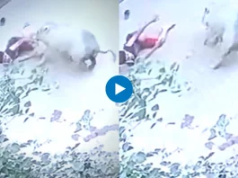 Viral Video