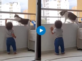 Viral Video