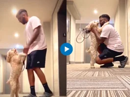 Viral Video