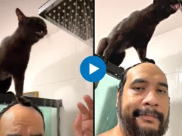 Viral Video