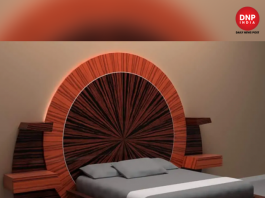 6 (1)