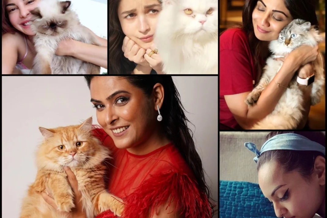 Bollywood divas who love cats