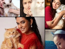 Bollywood divas who love cats