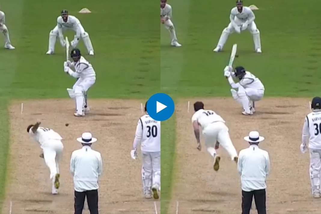 Cricket Viral Video
