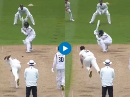 Cricket Viral Video