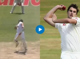 Cricket Viral Video