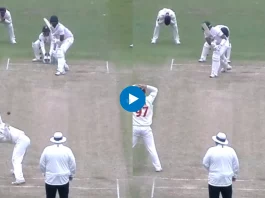 Cricket Viral Video