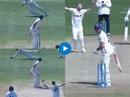 Cricket Viral Video