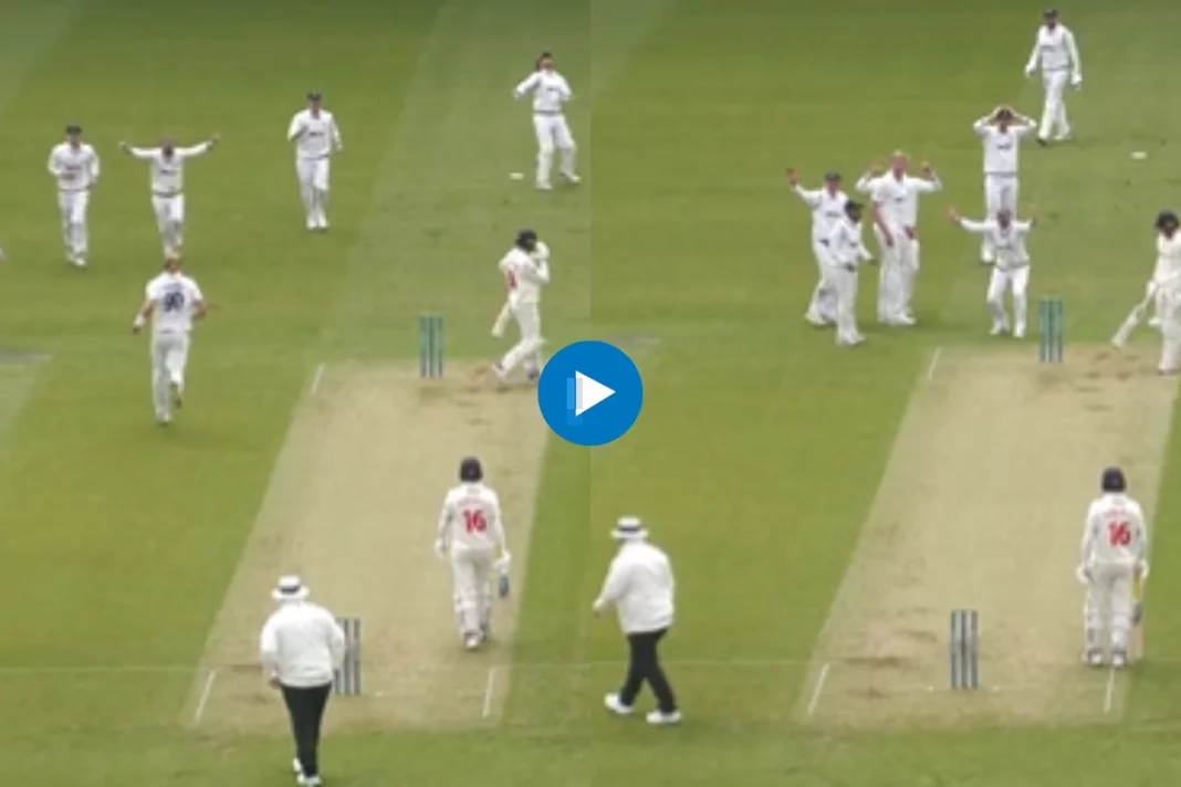 Cricket Viral Video